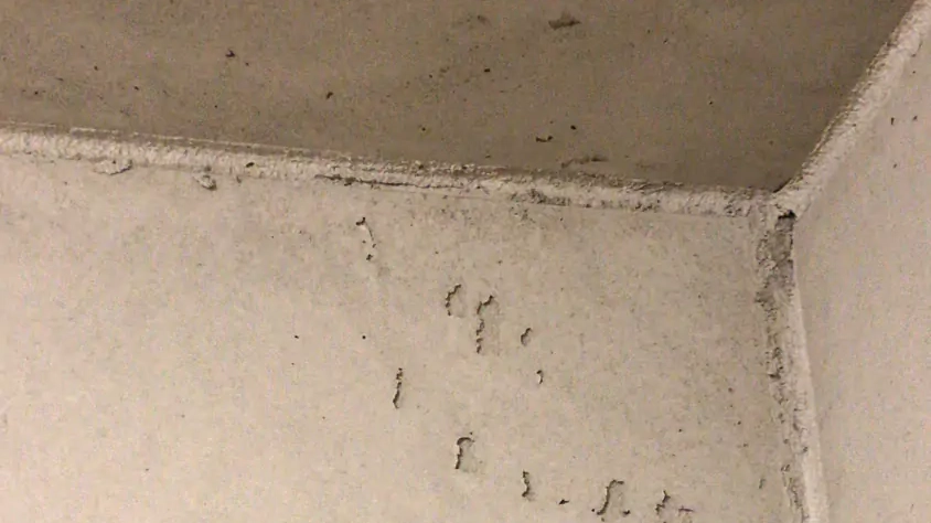 Anwendungsbeispiele Beton Classic