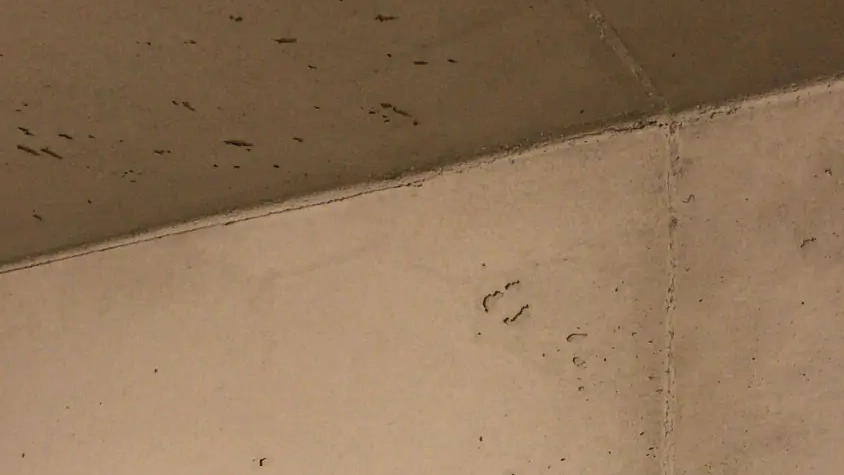 Anwendungsbeispiele Beton Classic